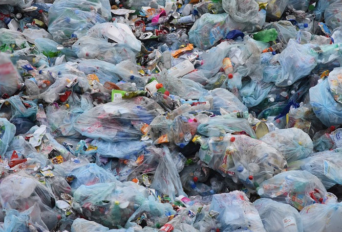 밴쿠버 시 비닐봉지 사용금지로 쇼핑습관 변화