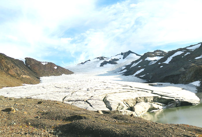 BC주 빙하, 빠른 속도로 해빙…” 생태계에 막대한 지장 초래”