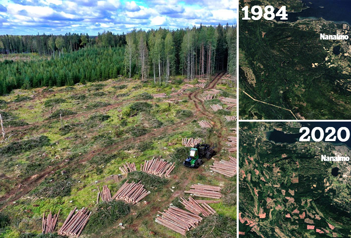 삼림 황폐화, 위성 통해 확인…복구에 200년 걸려