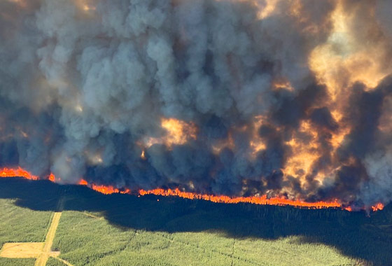 산불 재난 백 년만에 최고치…“올해 300건 이상 발생”