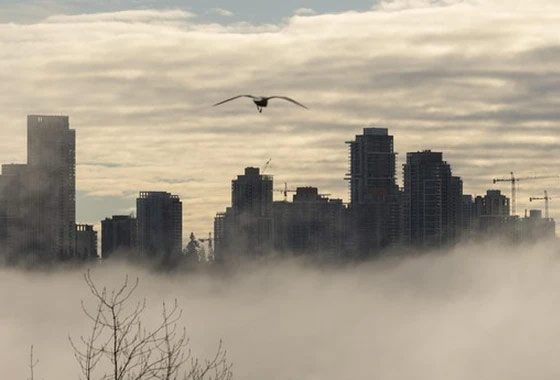 메트로 밴쿠버 인구 올해 3백만명 돌파