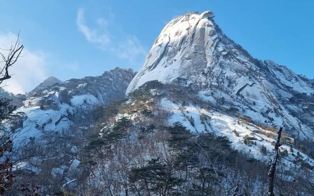 새로운 종소리 울려 퍼지다