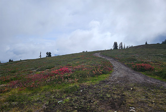 세월이 휘돌아 치면 / 윤문영 new