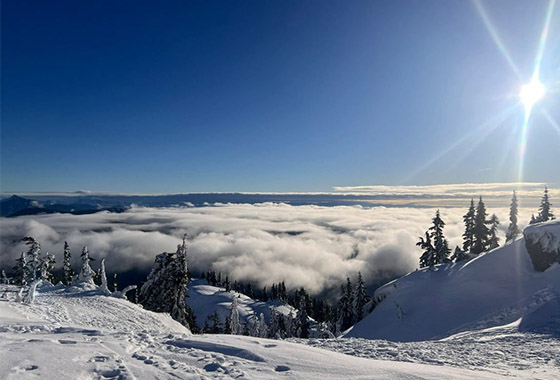 겨울 / 윤문영 new