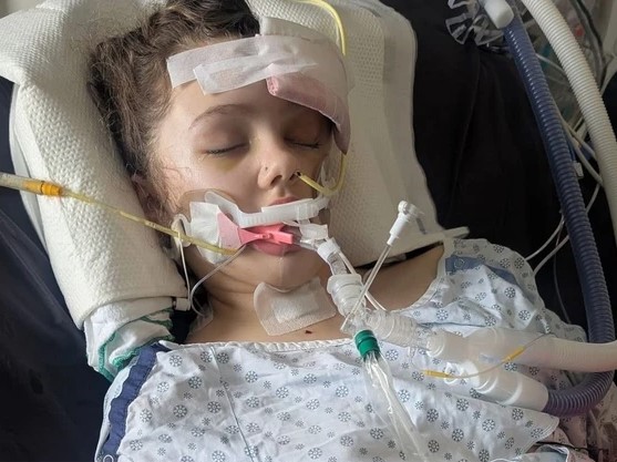 [텀블러 리지 총격] 참사 12세 생존 학생, 스스로 호흡 시작 new