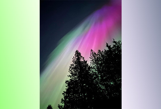 이민자 / 반현향 new