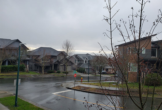 끝내 놓지 못하는 / 임현숙 new