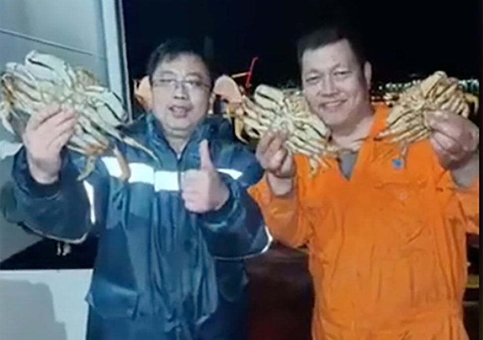 밴쿠버 방문 선원, 던지니스 게 대량 포획 논란…당국 조사 착수 new