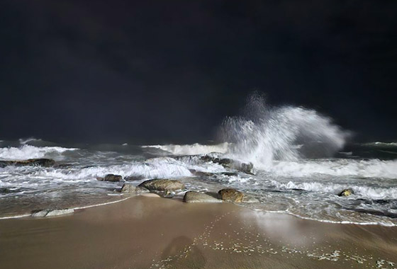 밤비는 내리고 / 김계옥 new