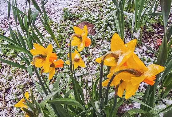 [기고] 만족(滿足) / 윤문영 new