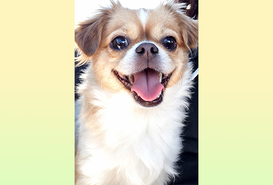 공통의 기억 / 예종희 new