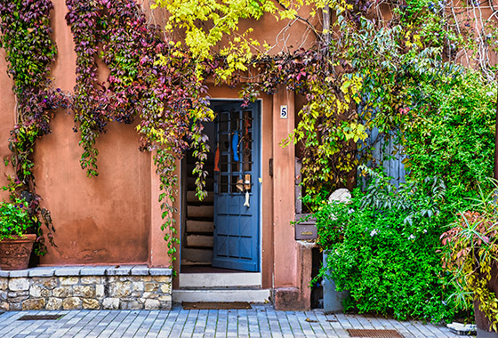 당신은 마음에 드는 집이 있습니까? / 줄리아 헤븐 김 new